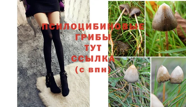 молекула духа Балахна