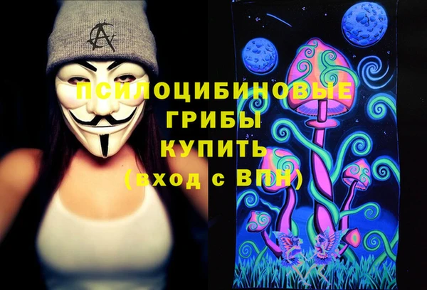 молекула духа Балахна