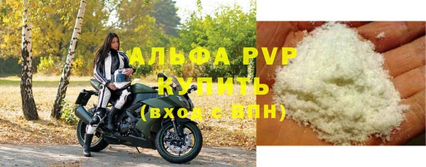 сатива Беломорск