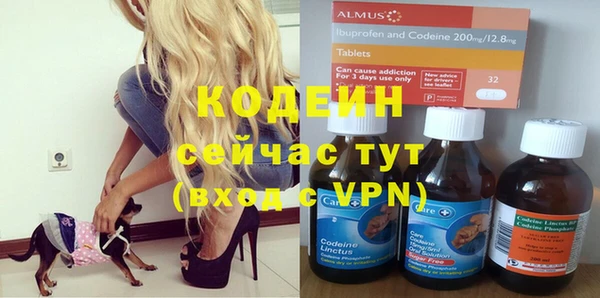 молекула духа Балахна